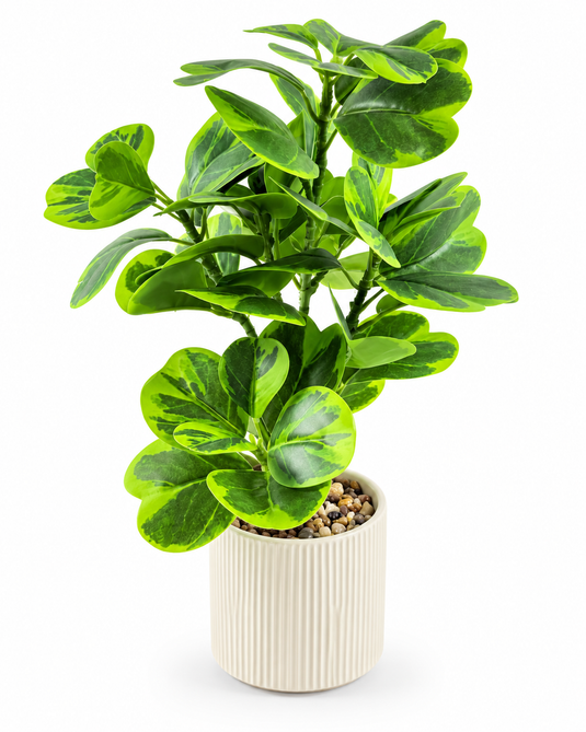 Artificial Variegated Green Plant with Pot