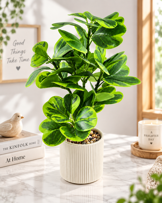 Artificial Variegated Green Plant with Pot