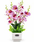 Artificial Orchid Arrangement with Pot