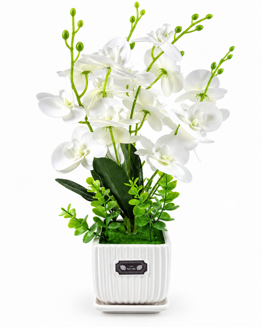 Artificial Orchid Arrangement with Pot