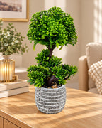 Artificial topiary plant 29 cm lifestyle