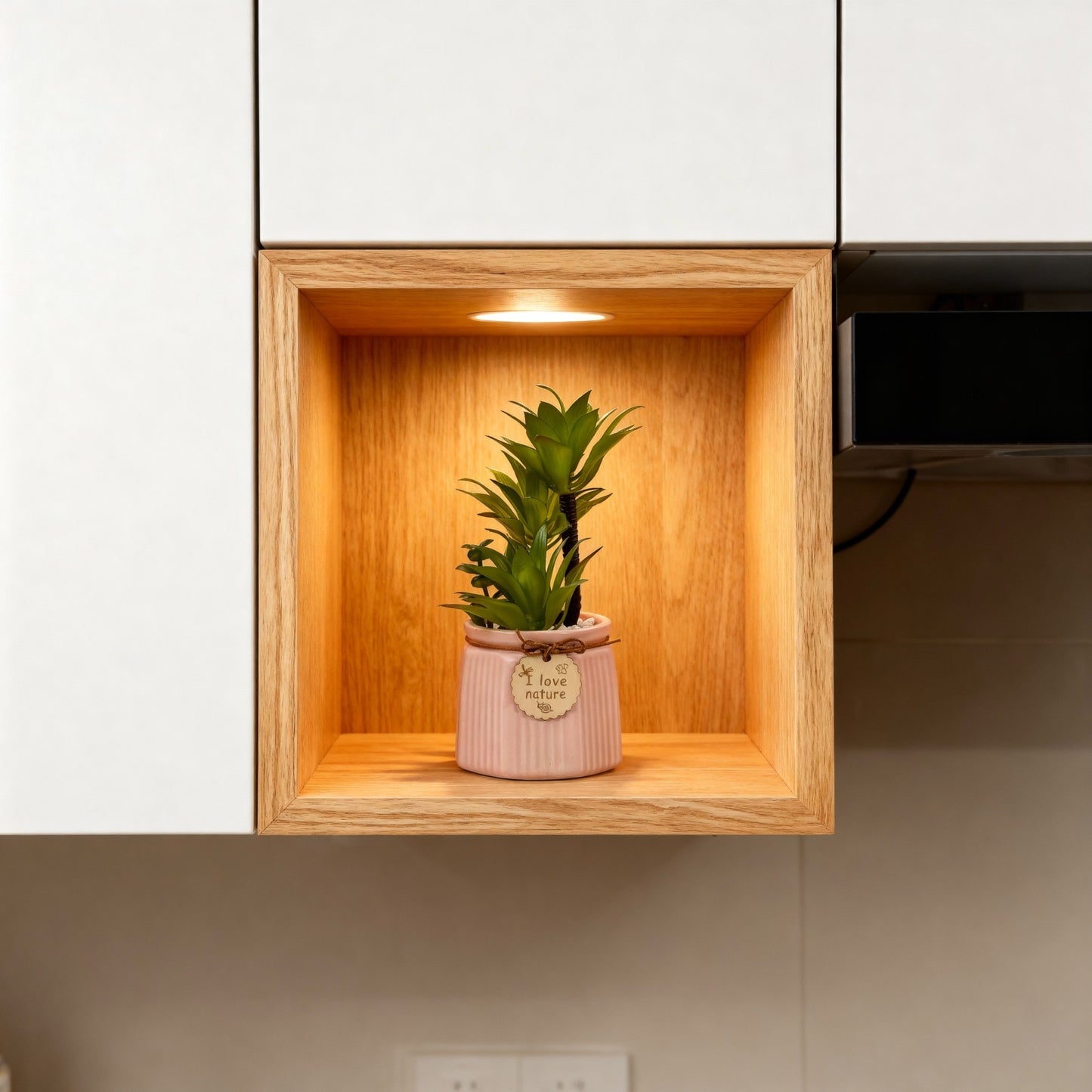 Plante succulente artificielle décorative