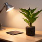 Plante de bureau artificielle décorative