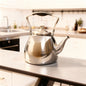 Bouilloire en acier inoxydable EliteCurve