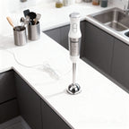 خلاط يدوي من ديسيني