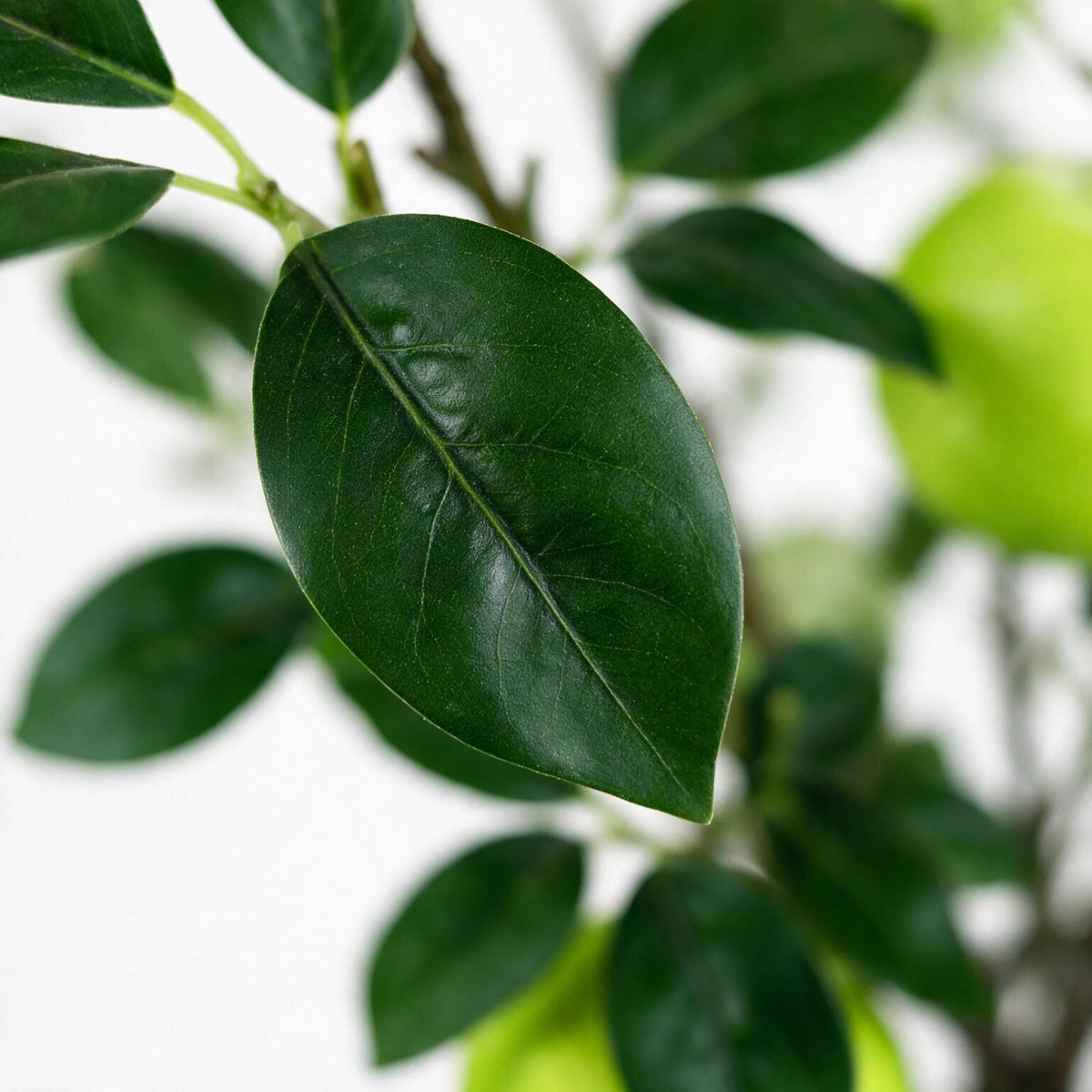 Artificial Green Apple Tree