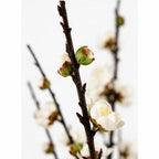 Artificial Cherry Blossom Plant