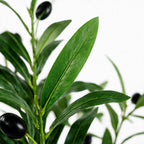 Artificial Olive Tree – 85cm