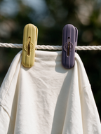 Round-detail laundry clothes pegs holding a white garment on a clothesline